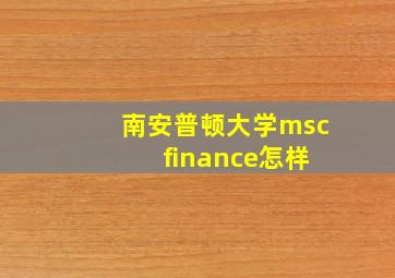 南安普顿大学msc finance怎样